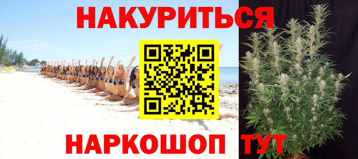 Каннабис конопля Вольск